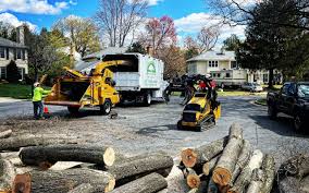 Best Stump Grinding and Removal  in Midway, NC