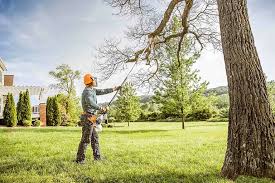 Best Tree Maintenance Programs  in Midway, NC